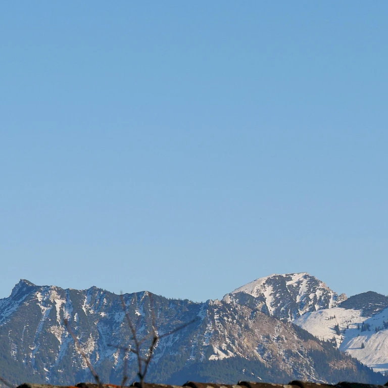 Ausblick Alpenzauber Ferienwohnung